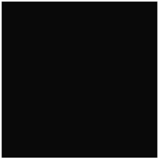 RAL 9005 – Czarny mat